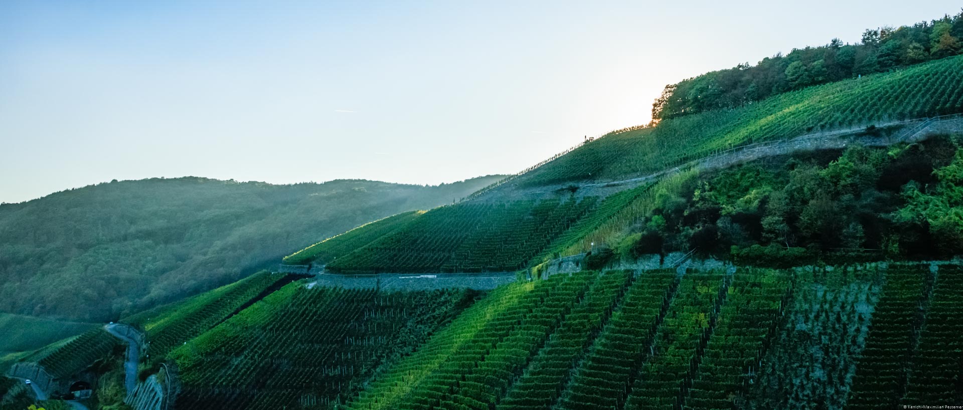 Im Ahrtal geht die Sonne hinter dem steilen Weinberg Dernauer Schieferlay unter