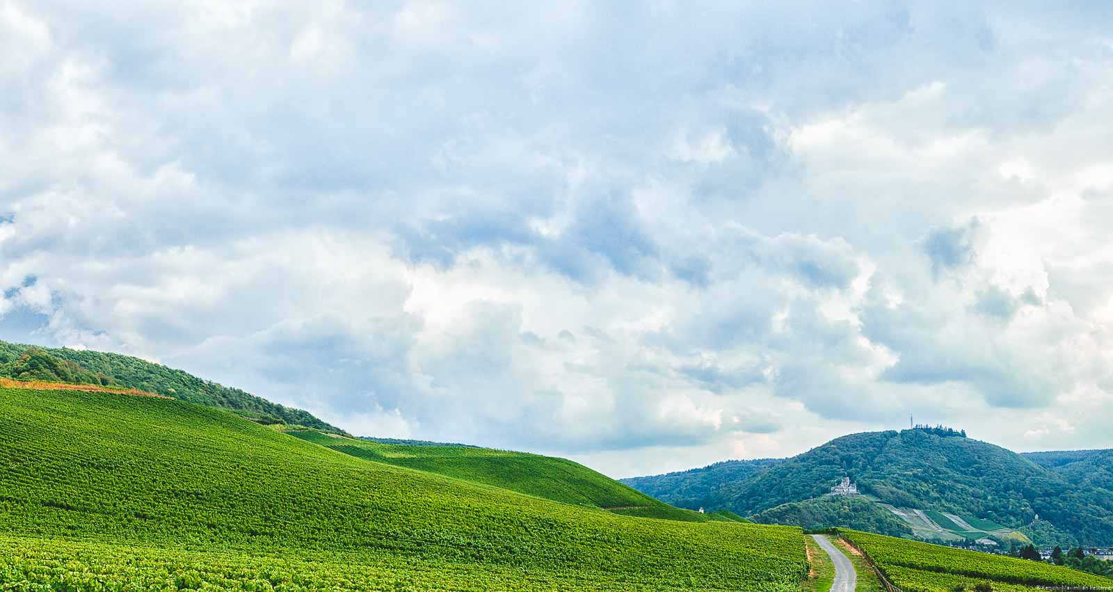Weite ausschweifende Weinberge, Burg, Wälder und Wolken am Himmel