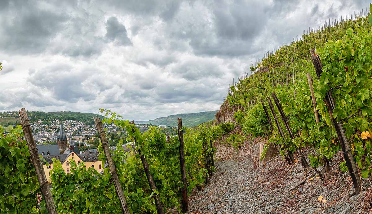 Hinter der Burg Landshut im Ort Bernkastel-Kues befindet sich ein Teil der Lage Bernkasteler Schlossberg. Auf dem Bild erkennt man einen Weg aus Schiefergestein und Rebstöcke an beiden Seiten. Unten links liegt der Ort Bernkastel-Kues. Der Himmel ist stark bewölkt.