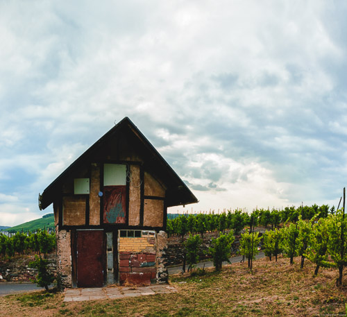 Kleines Haus im Weinberg Bernkasteler Bratenhöfchen. Dahinter sind Riesling-Reben. Vorne ist eine Wiese. Am Himmel sind viele Wolken.