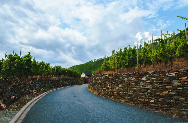 Straße im Weinberg Bernkasteler Bratenhöfchen mit Mauern. Auf den Mauern links und rechts sind Riesling-Reben. Am Himmel sind Wolken.
