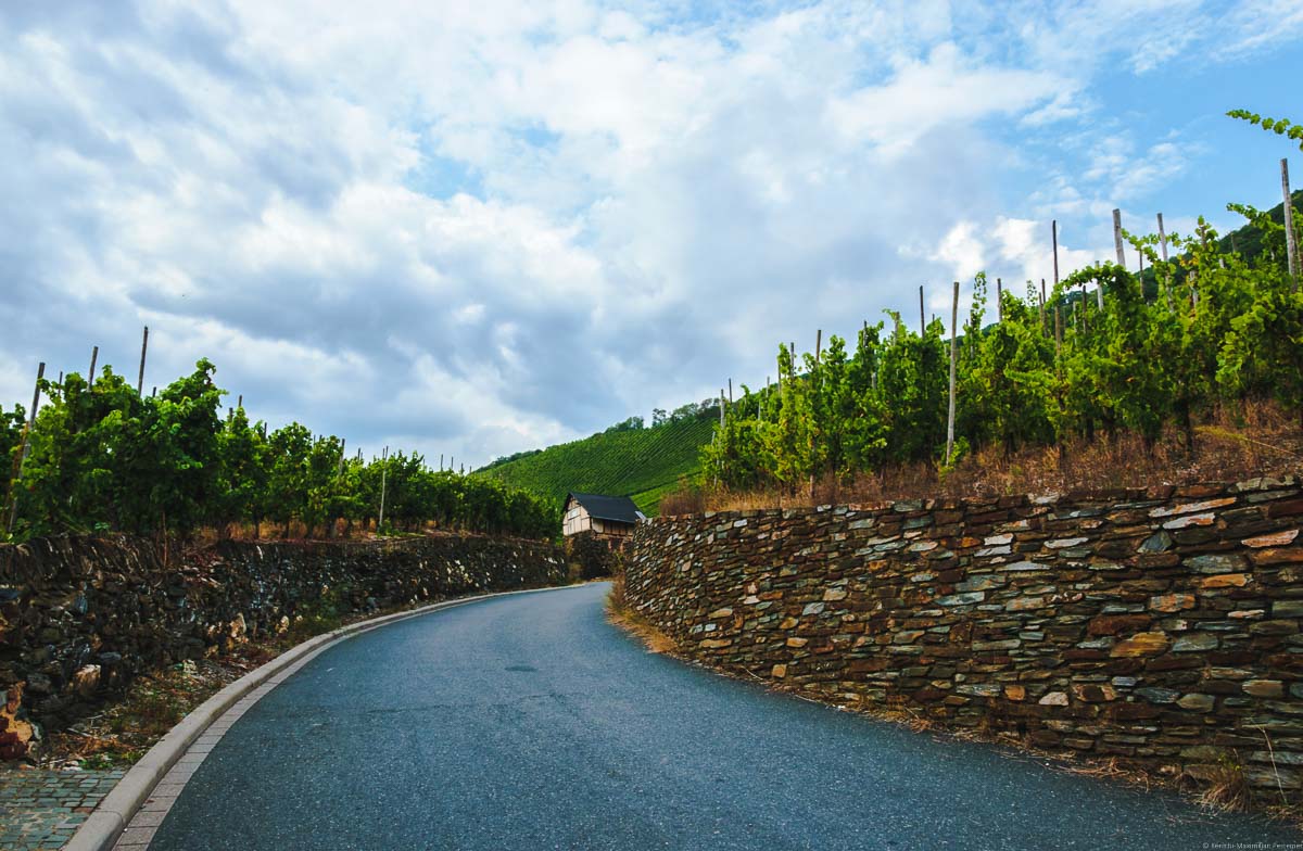 Straße im Weinberg Bernkasteler Bratenhöfchen mit Mauern. Auf den Mauern links und rechts sind Riesling-Reben. Am Himmel sind Wolken.