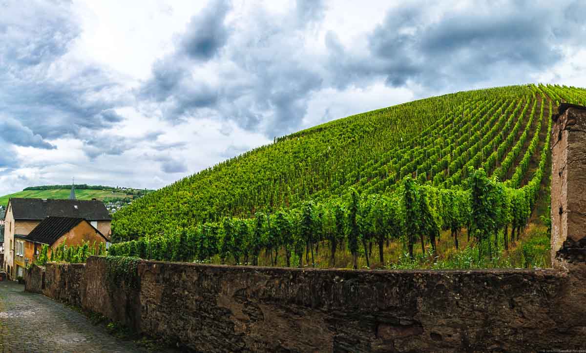 Vorne links ist ein Weg aus Steinen. Der steile Weinberg Bernkasteler Doctor befindet sich hinter einer Mauer auf der rechten Seite. Hinten links ist ein Haus. Am Himmel sind mächtige Wolken.