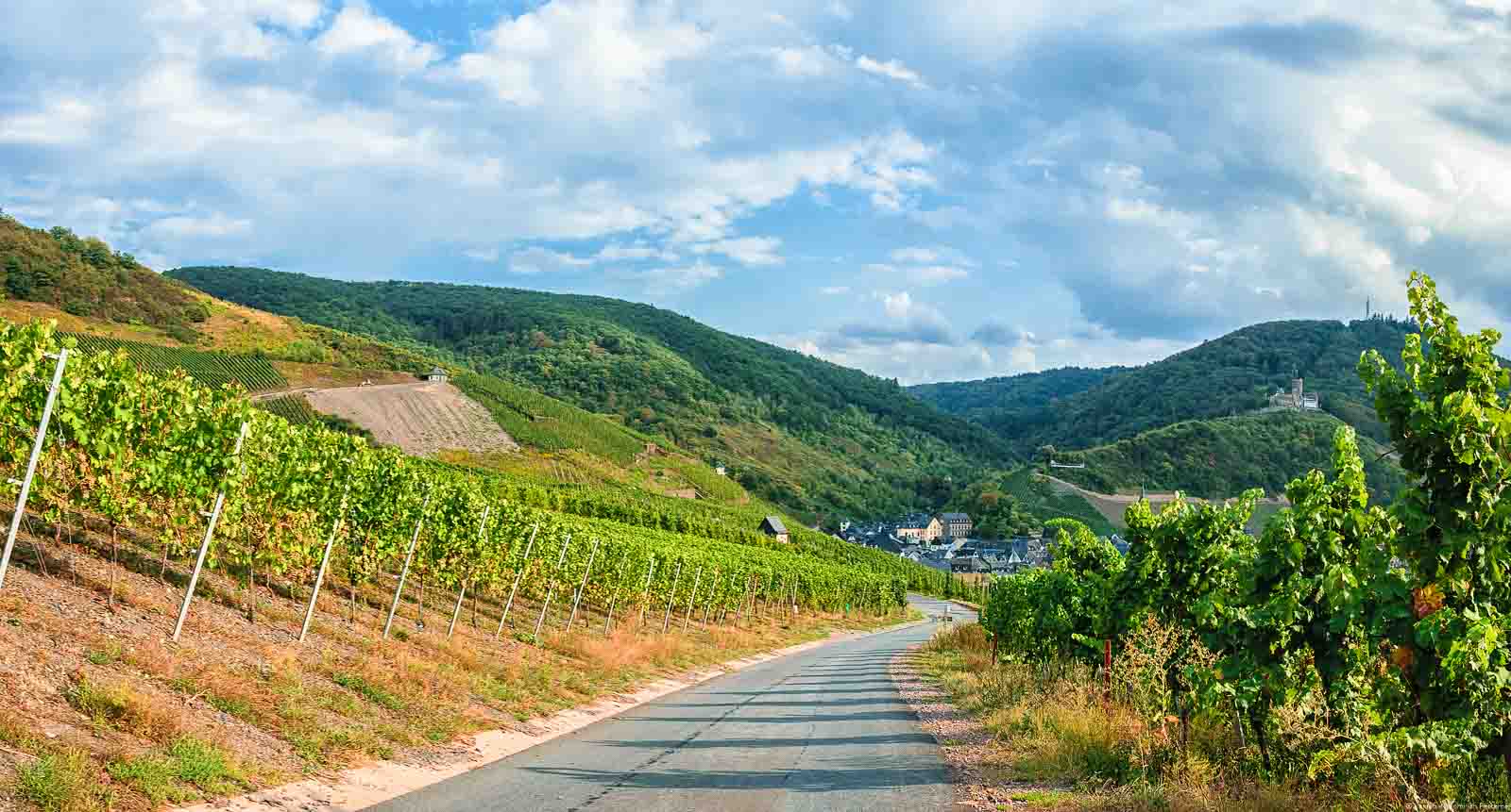 Weg im Weinberg mit Ort im Tal und bewaldeten Hügeln sowie Himmel im Hintergrund