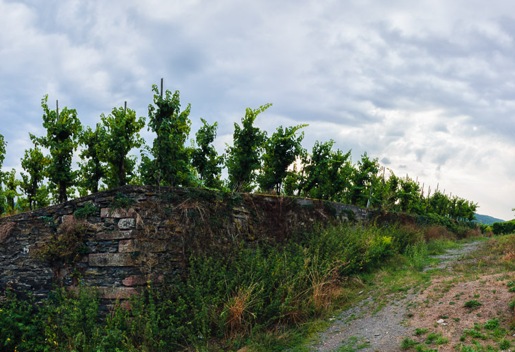 _DSC0818-Pano-Bearbeitet