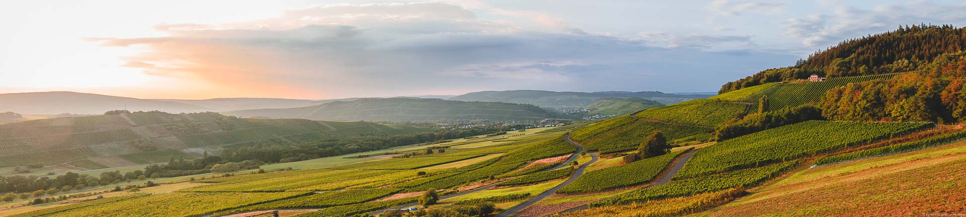 Sonnenuntergang vor den Mosel-Weinbergen der Grafschaft Veldenz