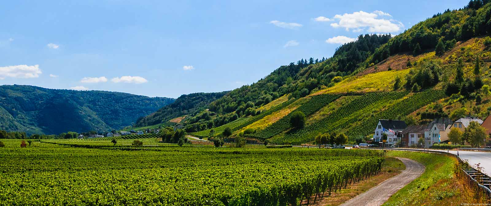 Vorne links erkennt man den flachen Bereich des Weinberges Enscher Mühlenberg. Rechts vorne sind Häuser des Ortes Ensch. Dahinter befinden sich auf der rechten Seiten steile Weinberge und Wälder. Im Hintergrund liegt der Ort Pölich. Man erkennt hinten links bewaldete Hügel. Am blauen Himmel sichtet man nur wenige Wolken.