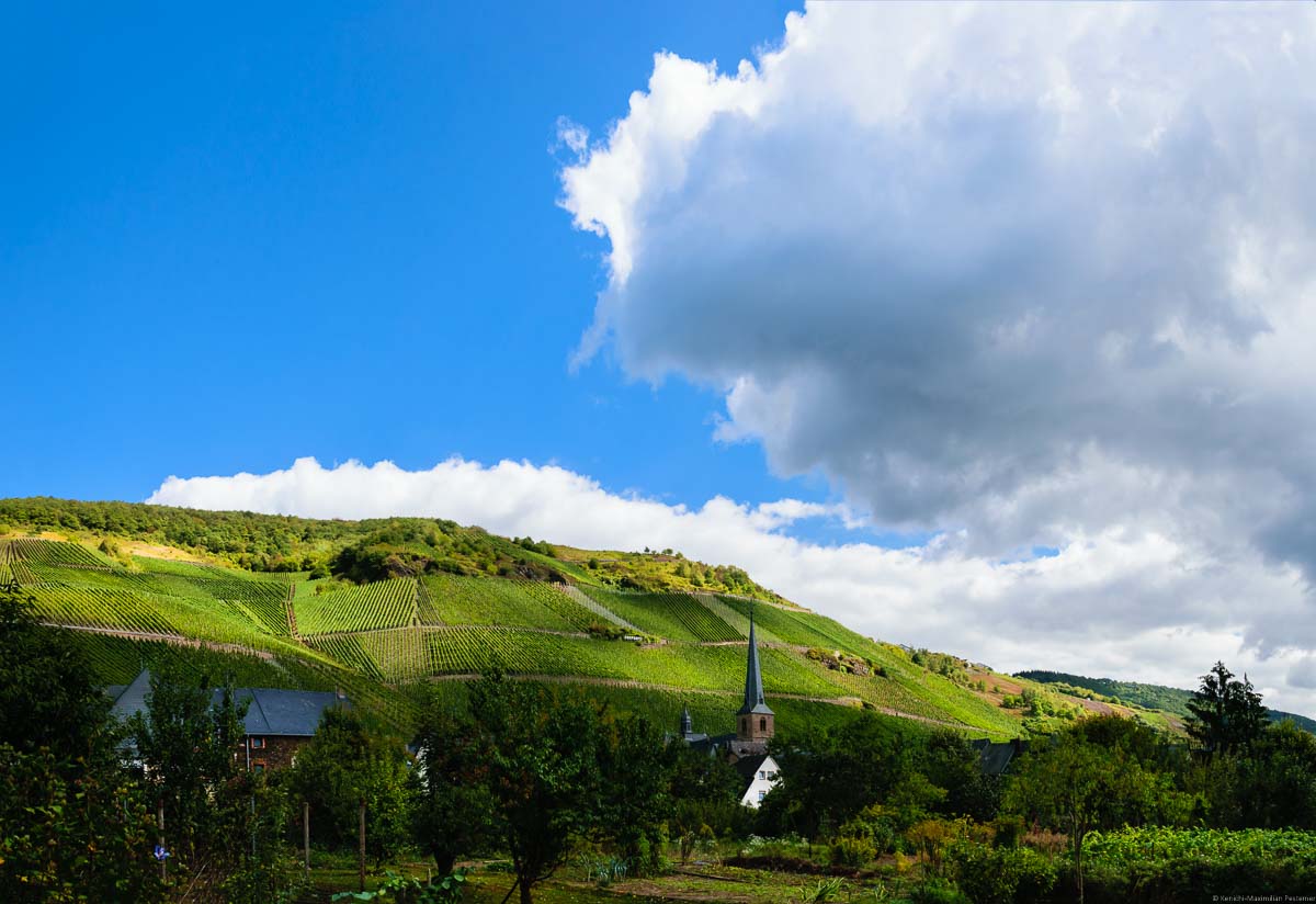 Gärten, Ort Graach mit steilem Weinberg Graacher Domprobst dahinter und großer Wolke am blauen Himmel