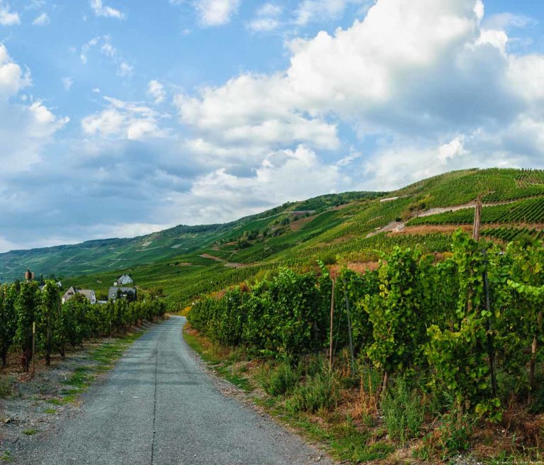 Von der linken Bildhälfte führt ein steiniger Weg in den Weinberg Graacher Himmelreich. Vorne ist der Weinberg Flach. Weiter hinten erhebt sich der Weinberg hervor und wird steil. Links hinten erkennt man ein Haus und Hügel. Oben am blauen Himmel sind viele Wolken.