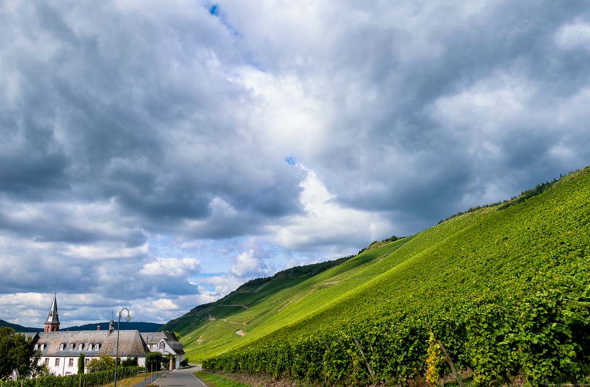Gebäude auf der linken Seite und steiler Weinberg Graacher Josephshöfer auf der rechten Seite mit bewölktem Himmel