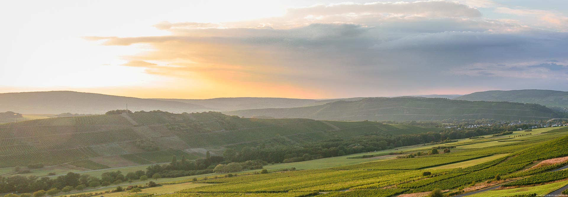 Die Ebene zwischen Veldenz und Brauneberg bietet dem Besucher wunderbare Sonnenuntergänge in der Weinlandschaft an der Mosel.