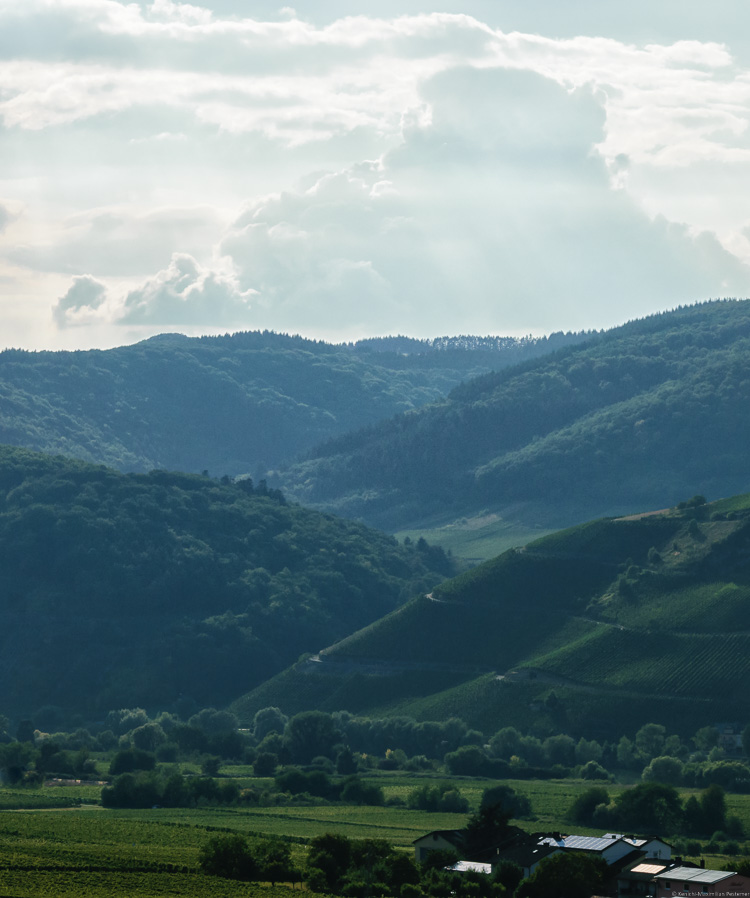 Der Weinberg Kestener Herrenberg staffelt sich hintereinander. Oben türmen sich Wolken auf.
