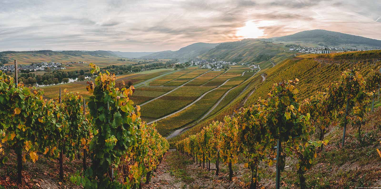 Sonnenuntergang bei Dusemond, Kesten und Osann im Herbst. Vorne erblickt man den Weinberg Kestener Herrenberg. Links verläuft der Lauf der Mosel.