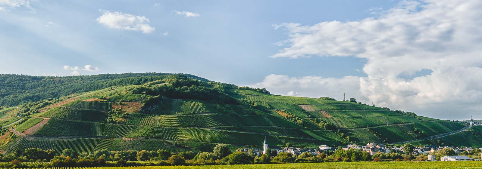 Vorne sind flache Weingärten und Wald. Unten rechts liegt der Ort Kesten. Dahinter befindet sich der steile Weinberg Kestener Paulinsberg. Am blauen Himmel befinden sich oben rechts Wolken.