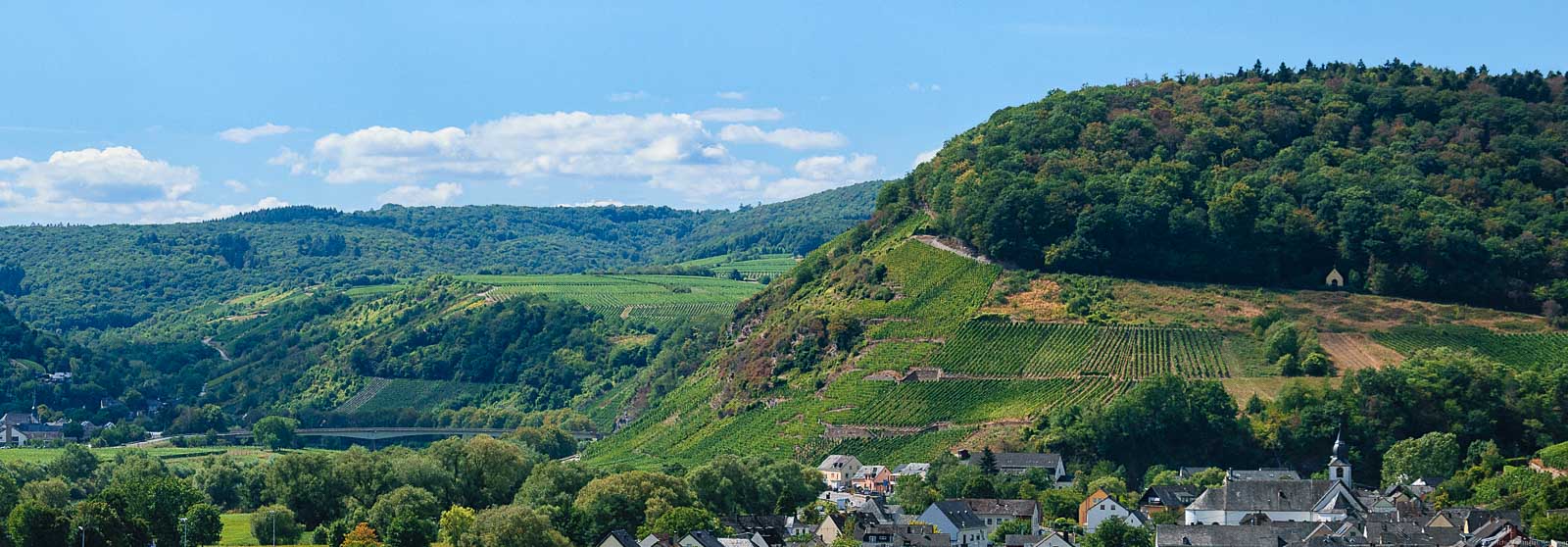 Vorne rechts befinden sich Häuser des Ortes Klüsserath. Dahinter türmt sich der steile Weinberg Klüsserather Bruderschaft auf. Am oberen Ende des Weinberges befindet sich Wald. Im Hinterrund sind weitere Weinberge, bewaldete Hügel, blauer Himmel und Wolken.