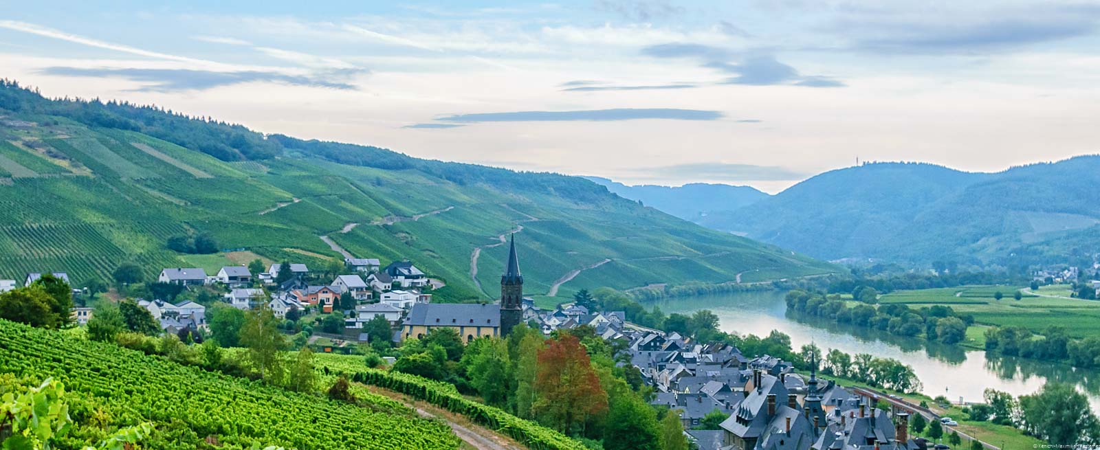 Rechts verläuft der Fluss Mosel. Vorne links liegt der Ort Lieser. Auf der linken Seite liegt der Weinberg.