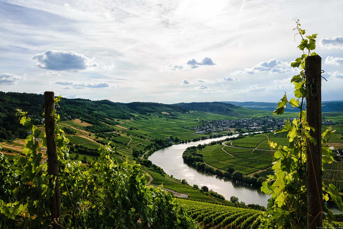 Man blickt vom Weinberg Trittenheimer Apotheke auf eine Biegung des Flusses Mosel im Tal. Im Hintergrund erkennt man den Ort Leiwen, den dazu gehörigen Weinberg Leiwener Klostergarten, bewaldete Hügel und einen leicht bewölkten Himmel oben.