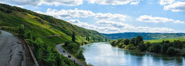 Vorne und in der Mitte fließt der Fluss Mosel. Am linken Ufer ist vorne ein Straße. Vorne oberhalb des linken Ufer liegt die Köwericher Laurentiuslay. Weiter hinten am linken Ufer befindet sich der Weinberg Leiwener Laurentiuslay. Am rechten Ufer erblickt man Wald und im Hintergrund den Ort Leiwen sowie bewaldete Hügel. Am blauen Himmel sind weiße Wolken.