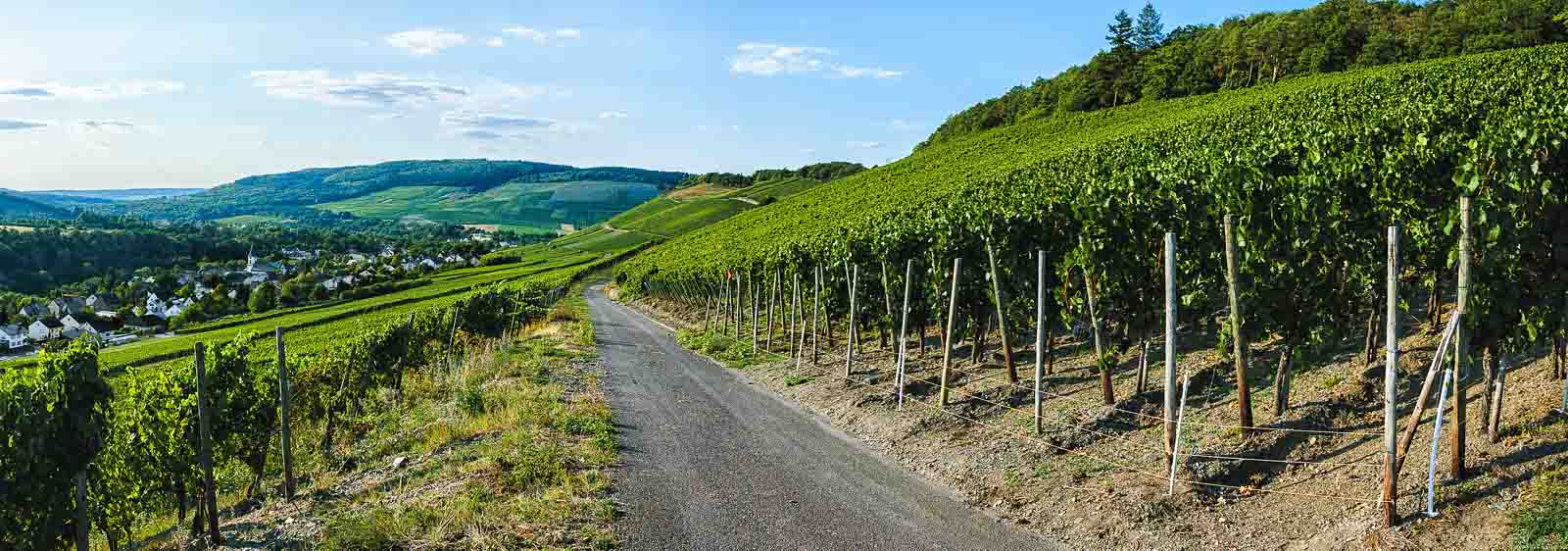 Weg in Weinberg Maringer Sonnenuhr und Dorf Maring-Noviand im Hintergrund