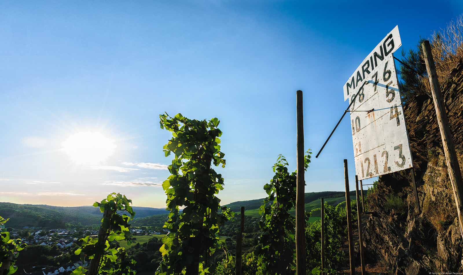 Die Sonne schein auf Weinberg Maringer Sonnenuhr. Links und in der Mitte sind Riesling-Rebstöcke. Auf der rechten Seite ist die weiße Sonnenuhr mit schwarzem Zeiger und schwarzen Zahlen. Im Hintergrund erkennt man den Ort Maring-Noviand, weitere Weinberge, Wälder, die Sonne und der Himmel oben ist blau.