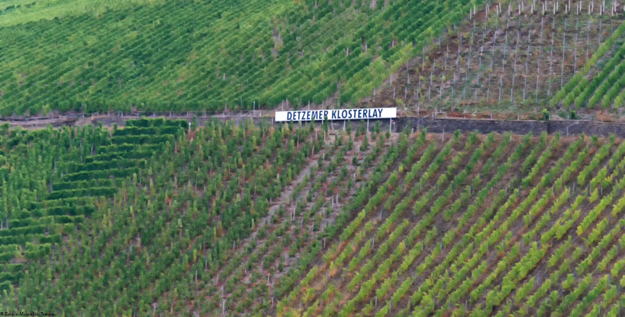 Schild des Weinberges Detzemer Maximiner Klosterlay mitten im steilen Weinberg