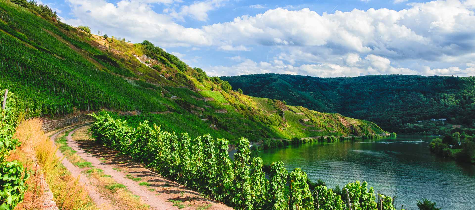 Links am Bildrand führt ein Weg in den Weinberg Mehringer Blattenberg. Am rechten Bildrand sind man den Fluss Mosel. Am blauen Himmel sind einige Wolken.
