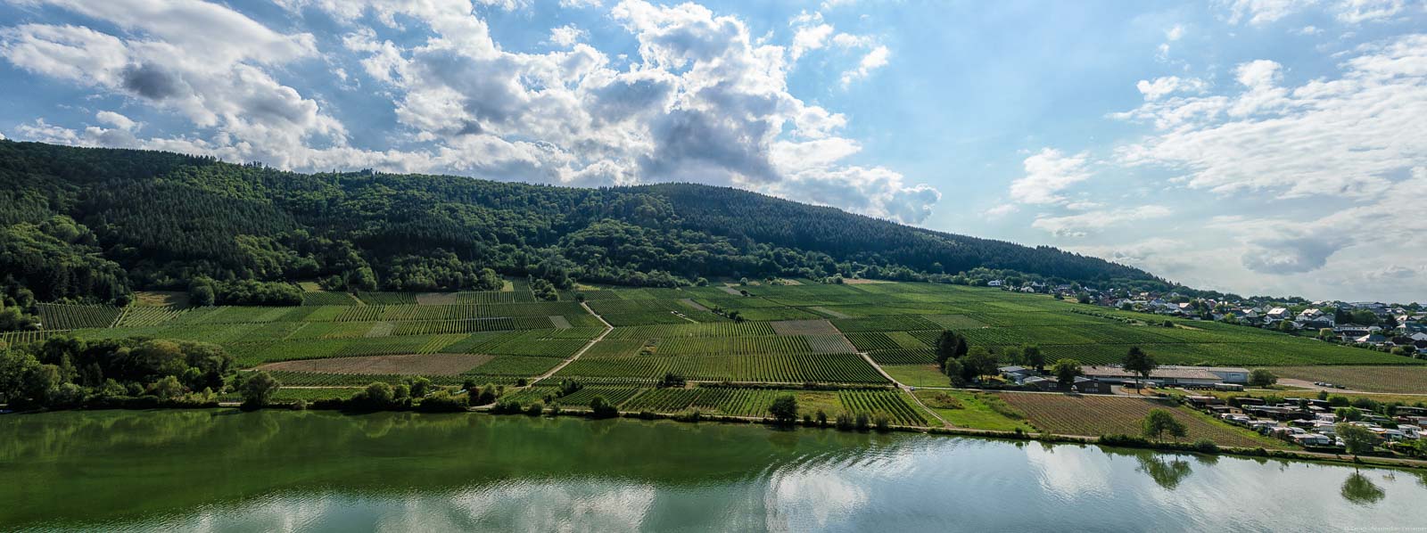 Vorne fließt die Mosel. Am ist bewölkt. anderen Ufer liegt der flache Weinberg Mehringer Goldkupp. Dahinter befindet sich ein bewaldeter Hügel. Am rechten Bildrand sind einige Häuser des Ortes Mehring. Der Himmel ist bewölkt.