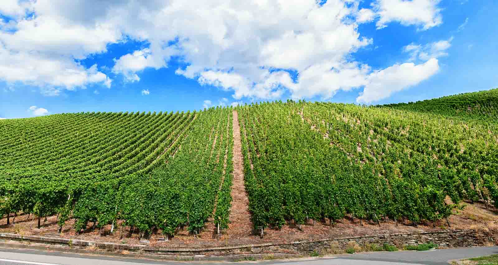 Vorne ist eine Straße. Dahinter erhebt sich der Weinberg Mehringer Zellerberg. Oben sind Wolken am blauen Himmel.