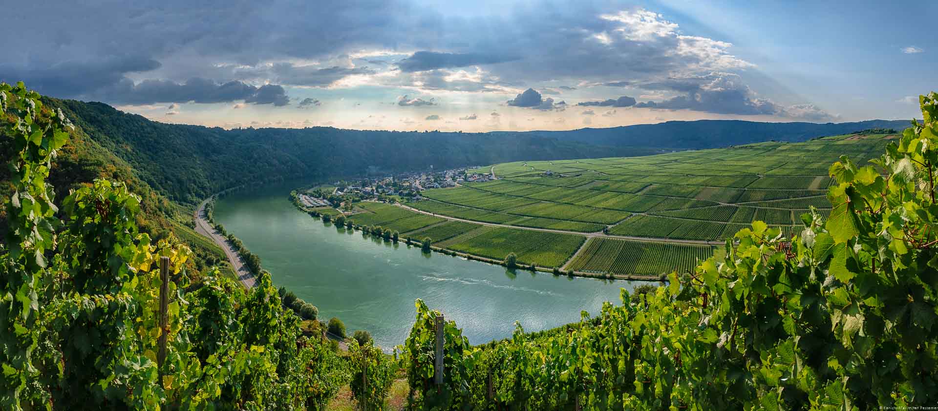Der Wintricher Ohligsberg bietet einen wunderbaren Blick auf die Mosel. Am gegenüberliegenden Ufer befinden sich der Weinberg Minheimer Rosenberg und das Dorf Minheim. Im Hintergrund erkennt man Regenwolken über bewaldeten Hügeln.