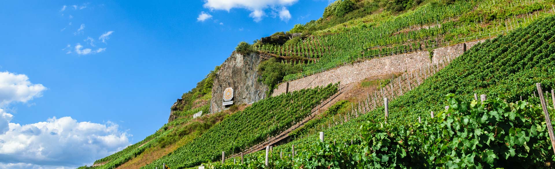 Der Steilhang des Weinberg Neumagener Sonnenuhr liegt auf der rechten Seite. Mitten im Hang befindet sich eine Sonnenuhr, welche an einem Felsen befestig ist. Links oben ist ein blauer Himmel mit wenigen weißen Wolken.