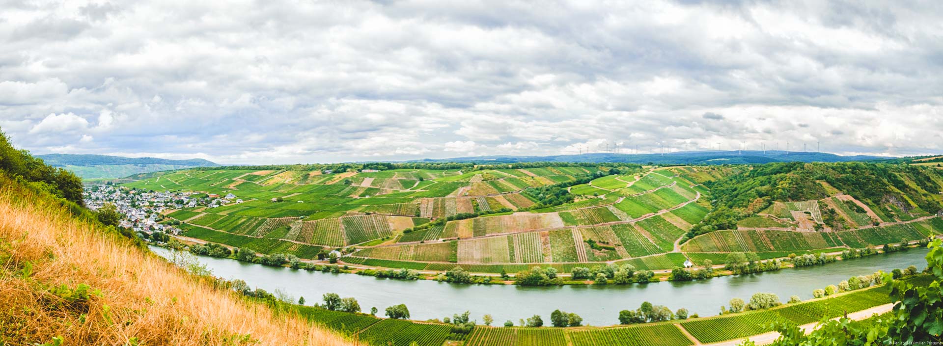 Blick auf Mosel und Weinberge bei Neumagen-Dhron