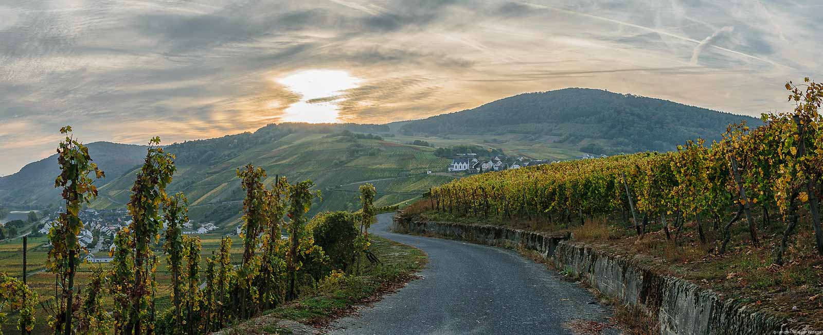 Vorne schlängelt sich ein Weg in den Weinberg hinein. Rechts und links vom Weg befindet sich der bunte Weinberg Kestener Paulinshofberger. Durch den Herbst sind die Blätter der Reben in gelb und orange gefärbt. Im Hintergrund befindet sich der Ort Osann-Monzel und am Himmel geht die Sonne unter.