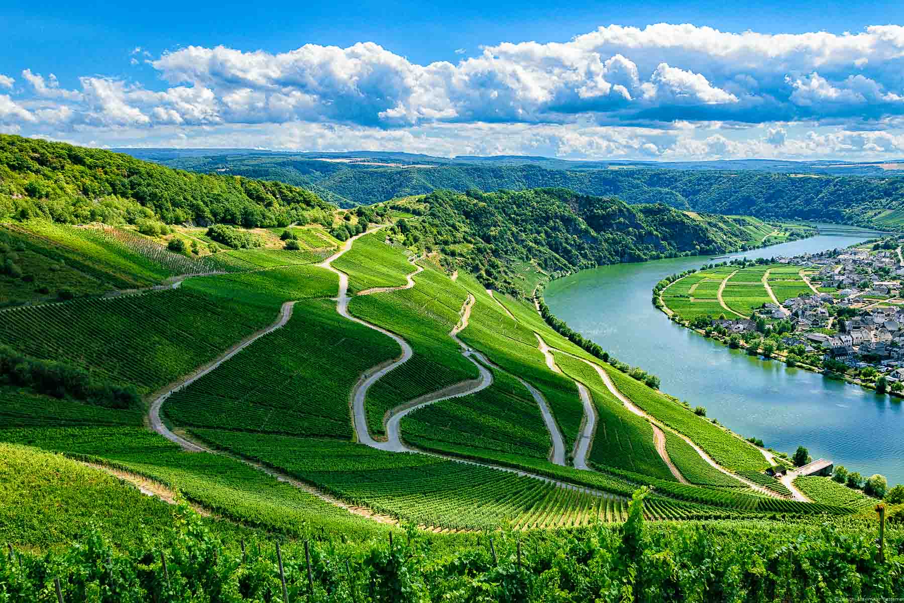 Der Weinberg Piesporter Günterslay befindet sich vorne und auf der linken Seite.. Auf der rechten Seite erkennt man den Fluss Mosel und den Ort Niederemmel. Im Hintergrund erkennt man die Moselloreley, Felsen bewaldete Hügel und blaue Wolken am Himmel.