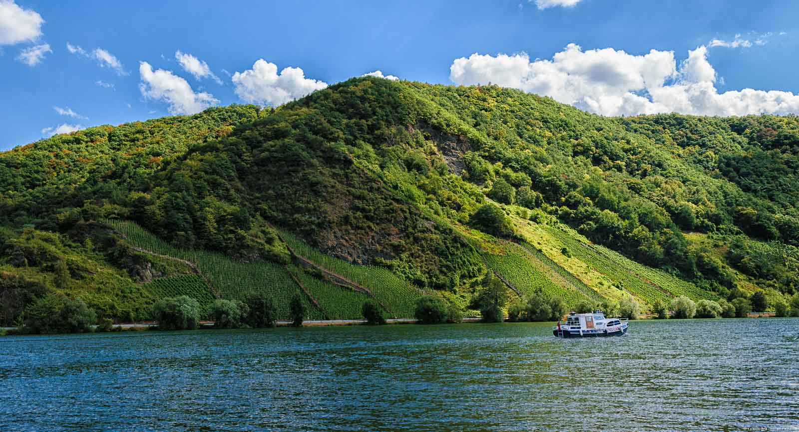 Vorne fließt der Fluss. Ein Boot fährt auf der Mosel. Am anderen Ufer türmt sich der Weinberg Piesporter Treppchen auf. Am blauen Himmel sind einige Wolken.