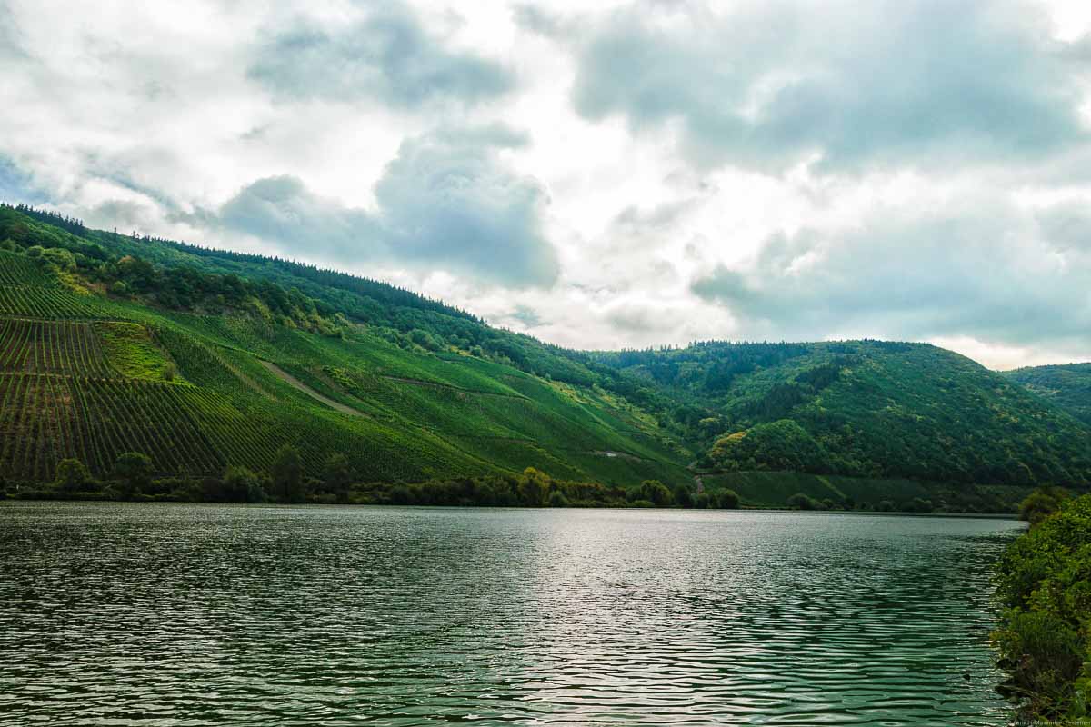 Mosel und Weinberge