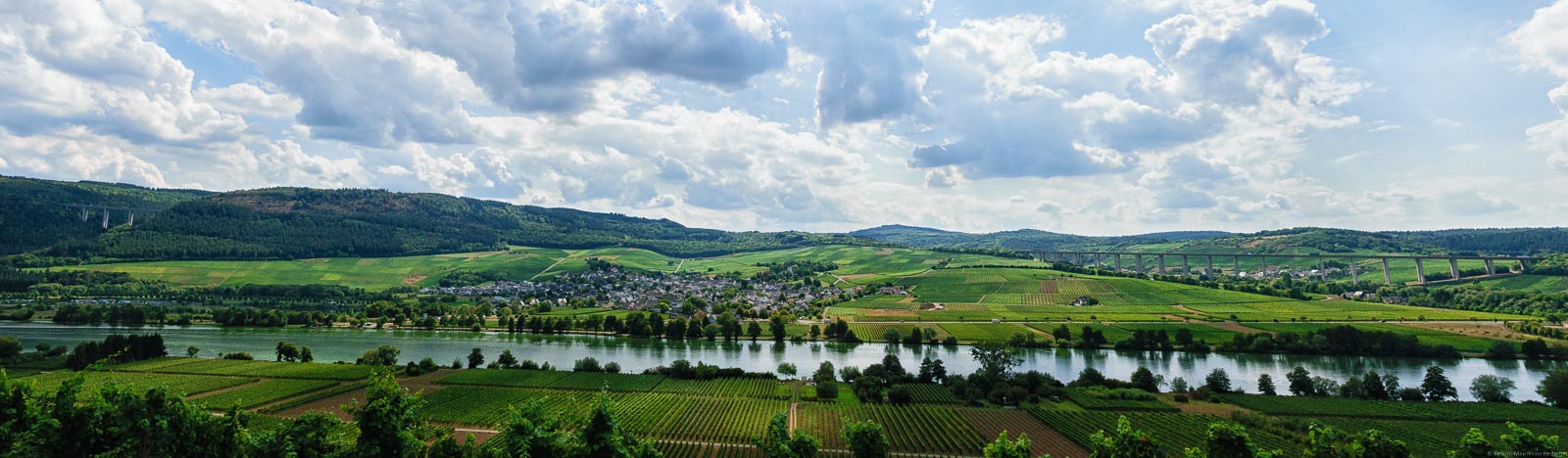 In der Ebenen fließt die Mosel. In der Mitte liegt der Ort Riol. Rund herum liegen Weinberge. Einer der Weinberge ist der Rioler Römerberg.