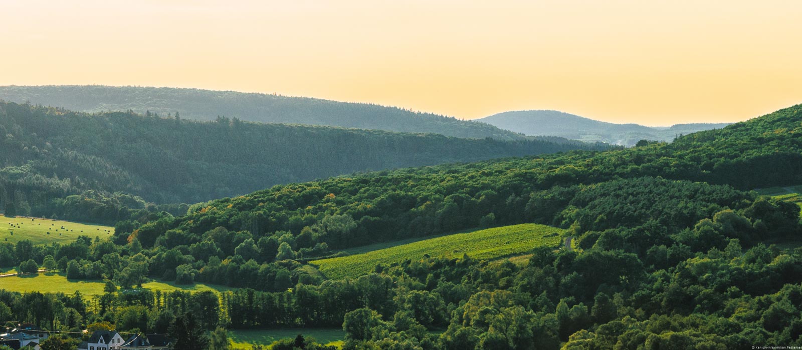 Weinberg Maring-Noviander Römerpfad mitten im Wald und Sonnenuntergang im Hintergrund sind bewaldete Hügel beim Sonnenuntergang