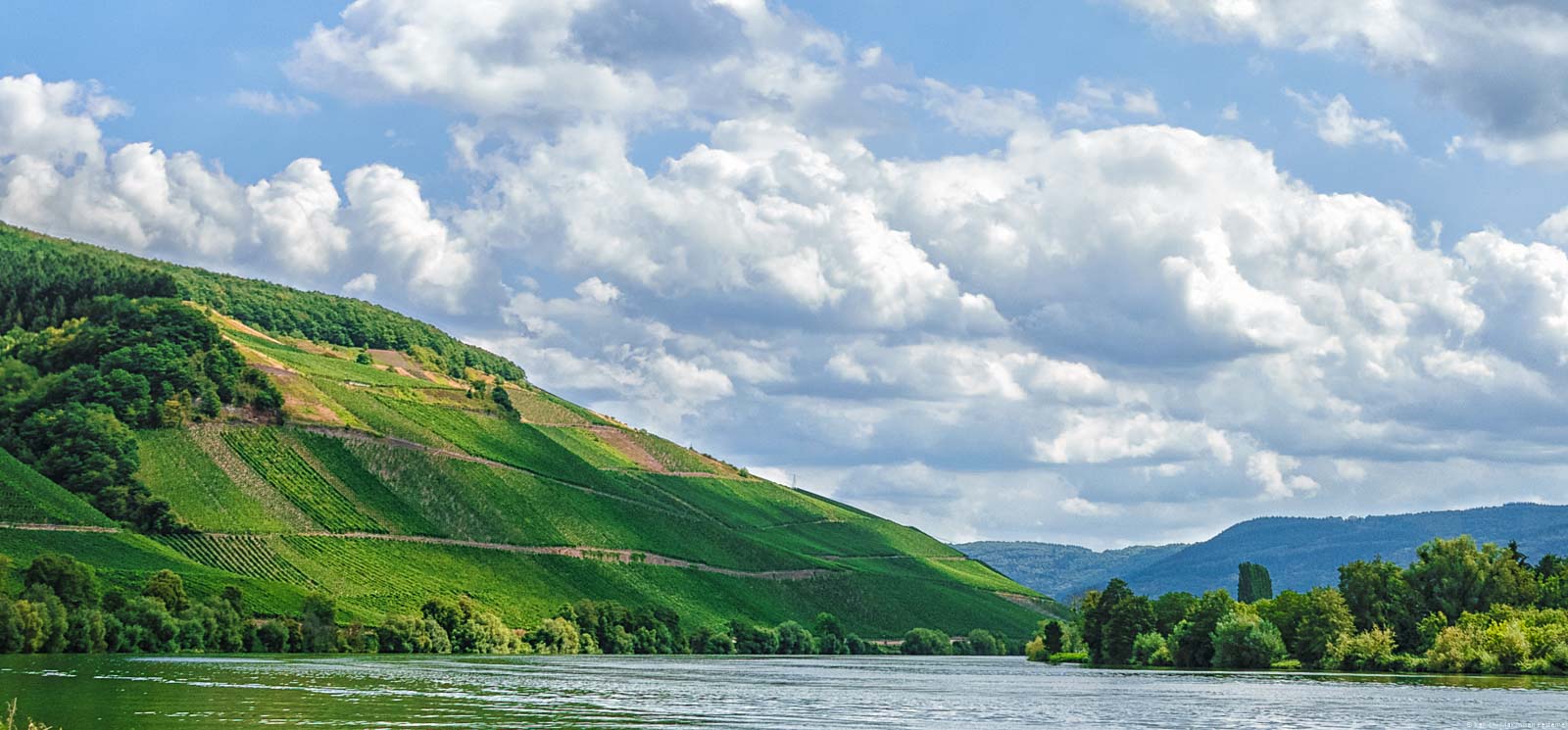 Vorne ist der Fluss Mosel; Dahinter liegen Weinberge. Links oben erkennt man den Longuicher Herrenberg.
