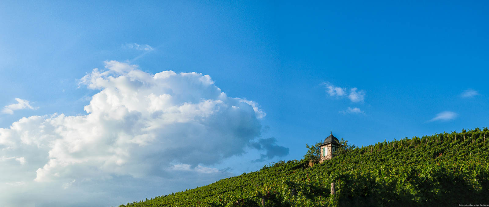 Im Weinberg Veldenzer Carlsberg befindet sich ein kleines Häuschen. Am blauen Himmel befindet sich eine große Wolke.