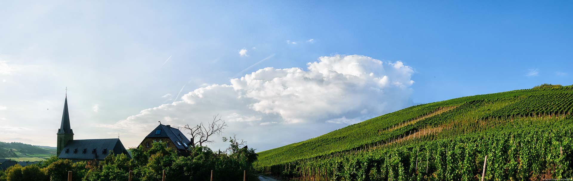 Rechts liegt der Weinberg. Links liegt der Ort Veldenz mit seiner Kirche. Oben am Himmel ist eine große Wolke.