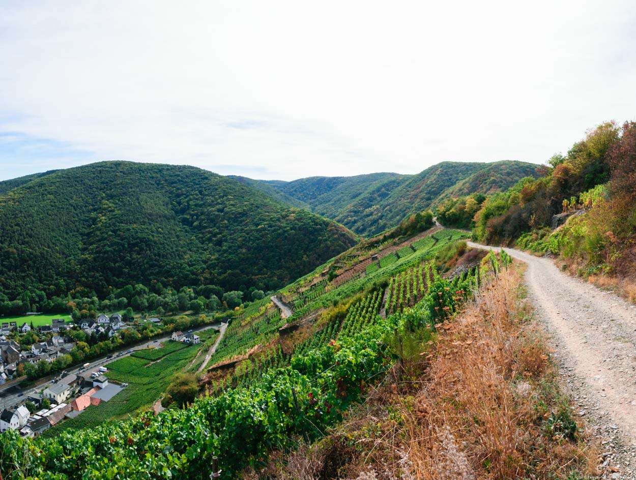 Der steile Weinberg Walporzheimer Domlay liegt vorne. Rechts verläuft ein Weg. Im Hintergrund sind bewaldete Hügel. Unten links liegt der Ort Walporzheim. Wolken sind am Himmel