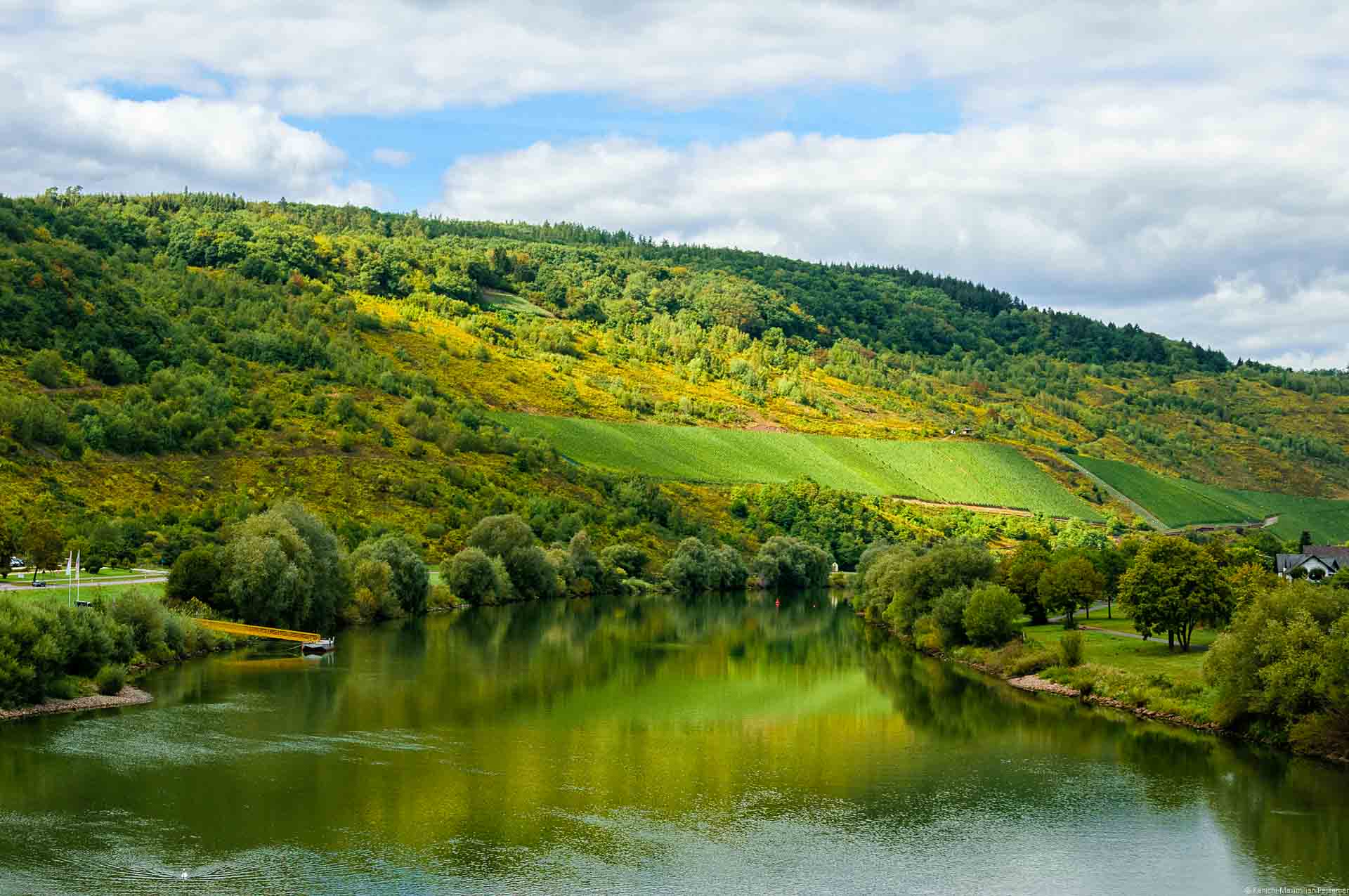 Im Vordergrund fließt die Mosel. Am hinteren Ufer liegt der Weinberg Zeltinger Deutschherrenberg. Oberhalb des Weinberges ist Wald. Der blaue Himmel ist bewölkt.