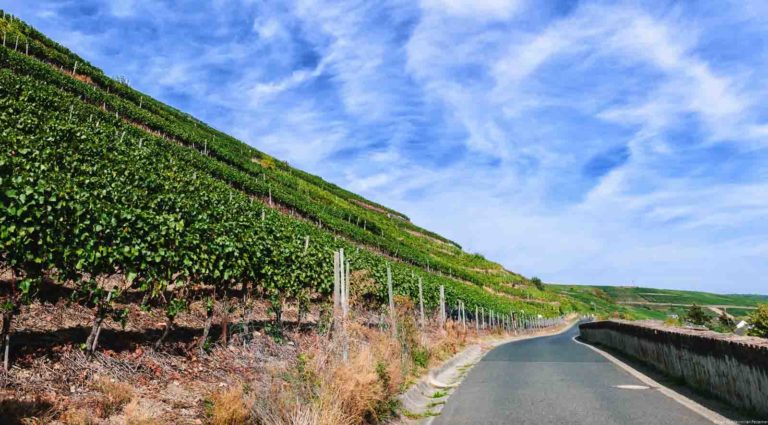 Weg und steiler Weinberg zur Linken mit blauem Himmel