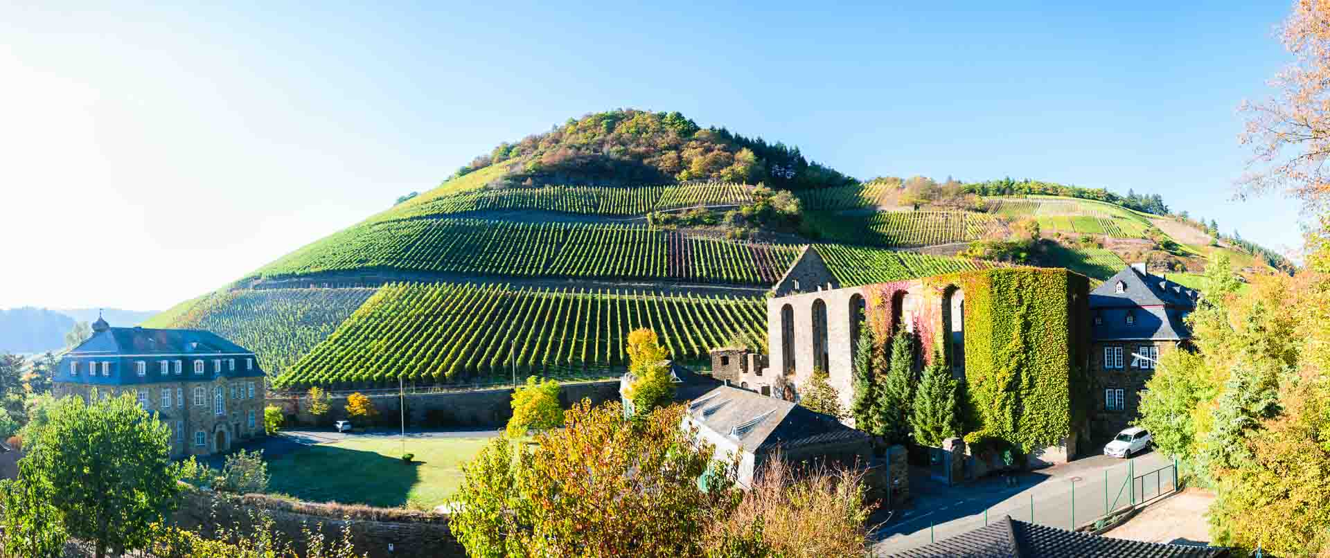 Hinter der alten Klosterruine erhebt sich der imposante Weinberg Marientaler Klostergarten. Auf diesem stehen vor allem Spätburgunder-Reben.