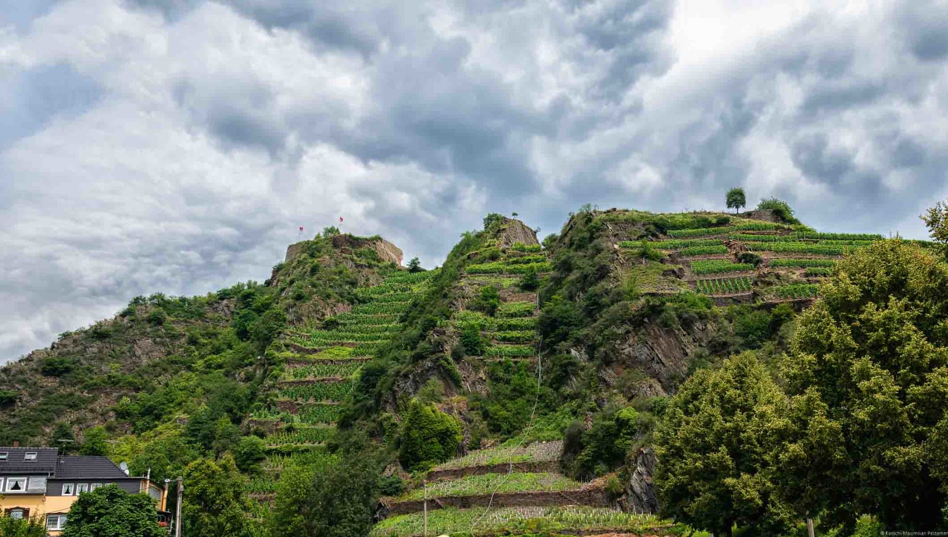 Auf dem Weinberg Mayschosser Burgberg liegt die Saffenburg. Von dort hat man einen ausschweifenden Blick auf das Ahrtal.