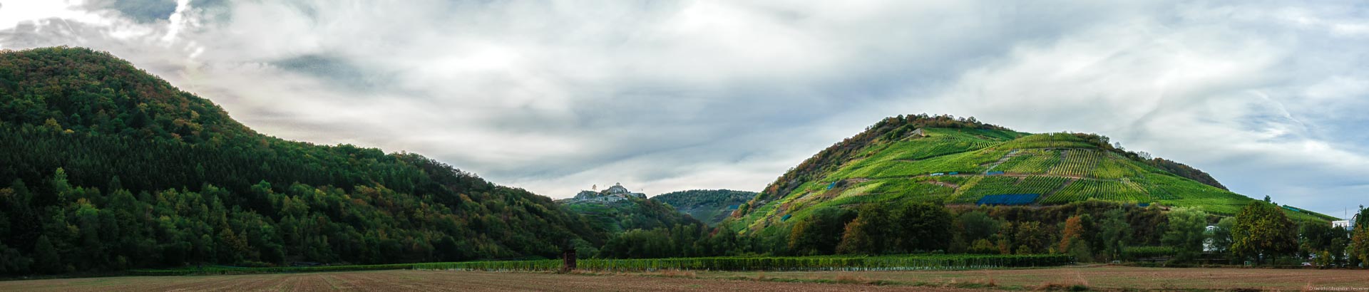 Im Hintergrund im Ahrtal erblickt man die Saffenburg. Rechts daneben liegt der Recher Herrenberg.