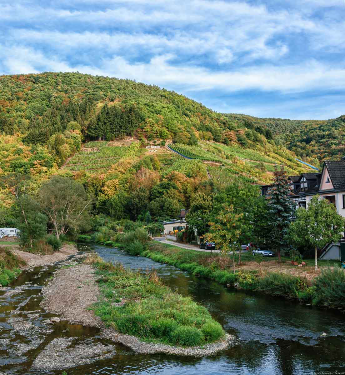 Der Weinberg Recher Hardtberg ist ein alter Weinberg nahe an der Ahr