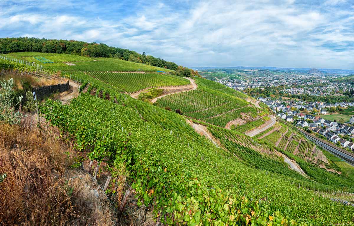 Die "Alte Lay" ist ein Weinberg mit Südausrichtung am Rotweinwanderweg