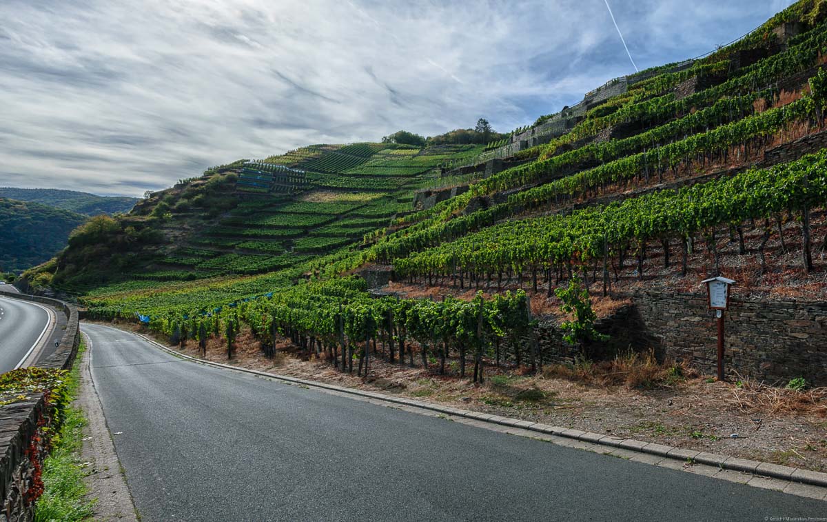 Der Walporzheimer Kräuterberg liegt direkt vorne rechts im Bild. Dahinter liegen weitere steile Weinberge. Vorne verläuft der Weg. Der Himmel ist bewölkt.