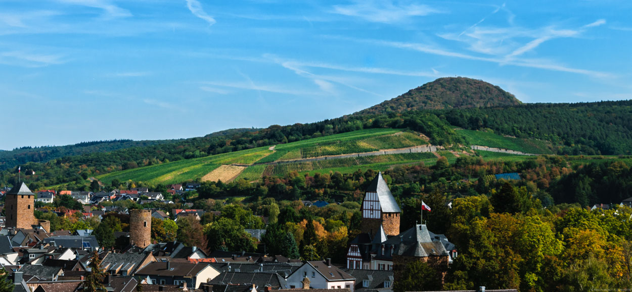 Neben dem Sonnenschein gibt es weitere Weinberge. Dort liegt auch der Weinberg Bachemer Steinkaul. Vorne erkennt man den Ort Bad-Neuenahr.